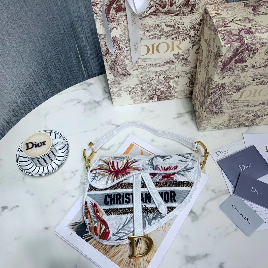 Túi xách Dior siêu cấp size like auth 