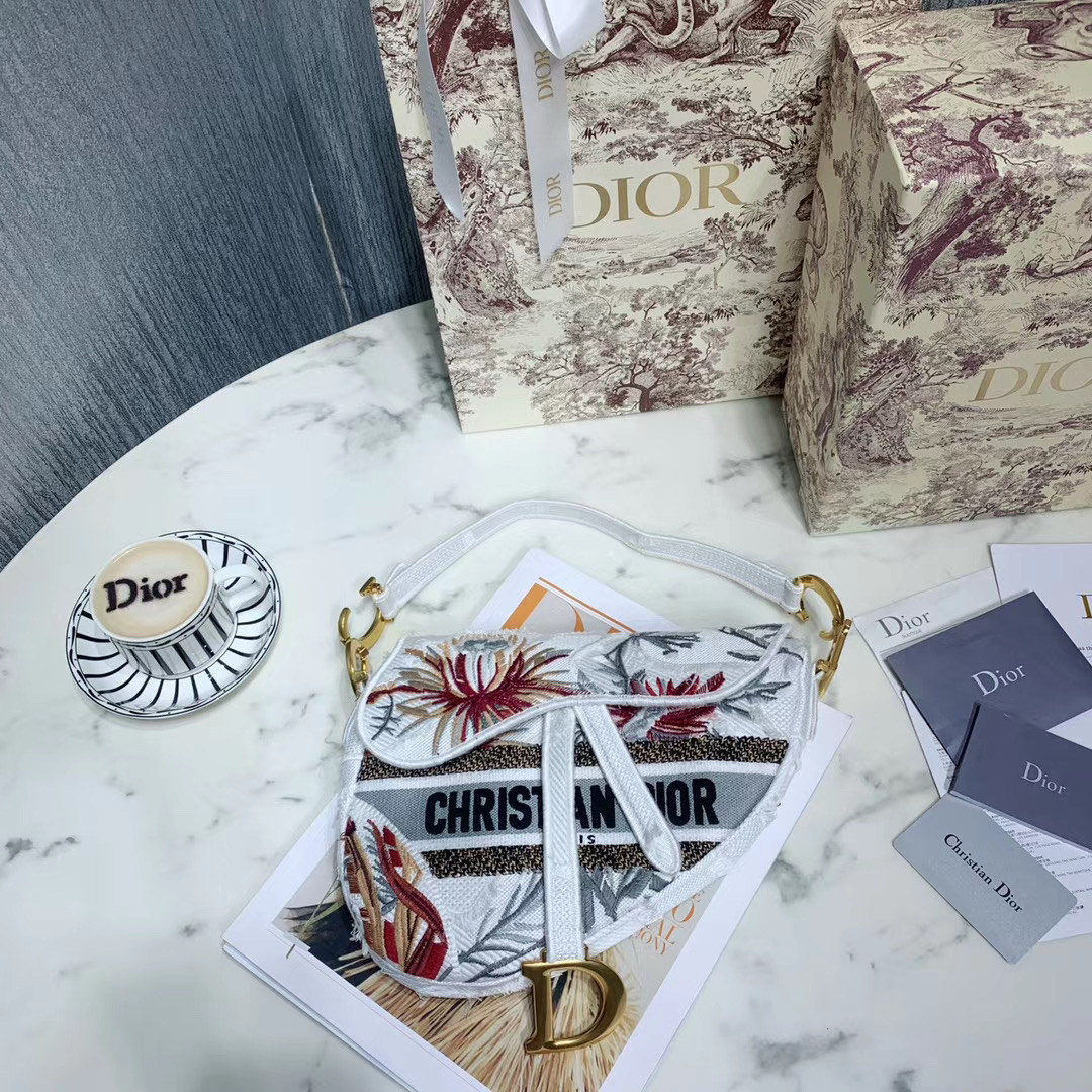 Túi xách Dior siêu cấp size like auth 