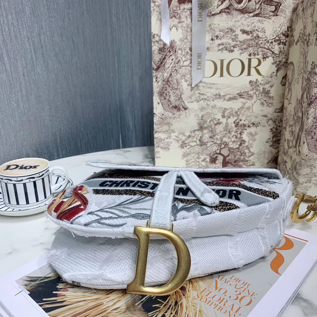 Túi xách Dior siêu cấp size like auth 