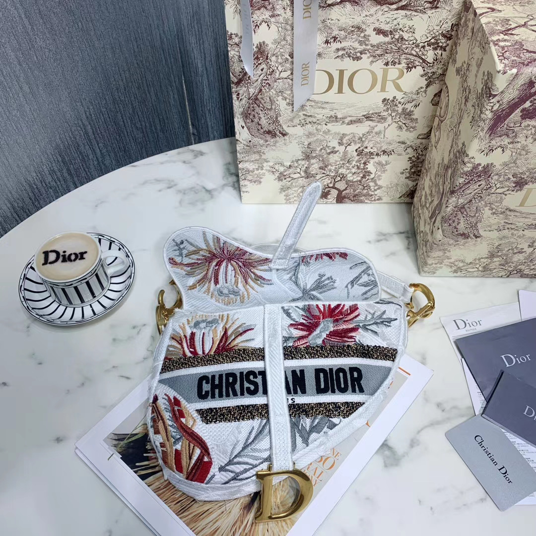 Túi xách Dior siêu cấp size like auth 